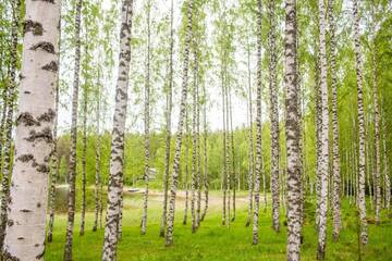 Фото номера Дом с 4 спальнями Дома для отпуска Resort Naaranlahti Cottages г. Нааранлахти 7